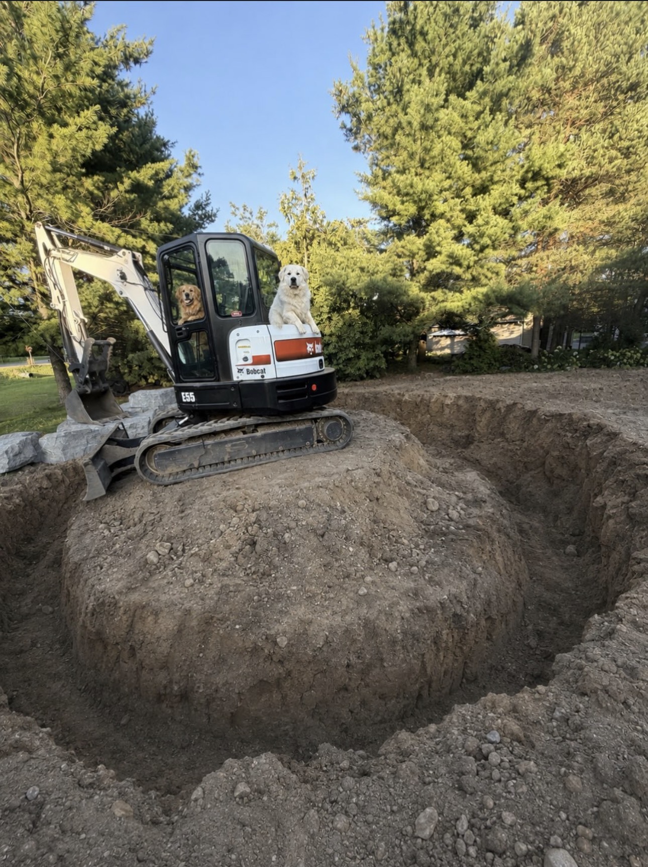 Two dogs sitting on a Bobcat E55 excavator parked beside a freshly dug hole at sunset