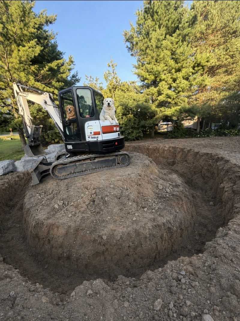 Two dogs sitting on a Bobcat E55 excavator parked beside a freshly dug hole at sunset